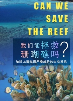 我们能拯救珊瑚礁吗